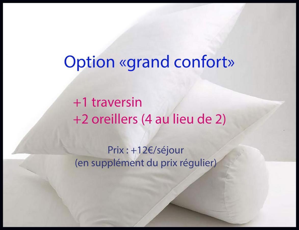 ליון Studio Charme Et Confort Aux Cordeliers מראה חיצוני תמונה