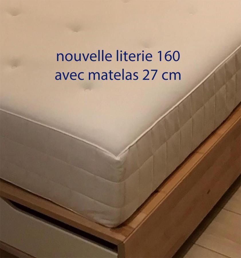 ליון Studio Charme Et Confort Aux Cordeliers מראה חיצוני תמונה